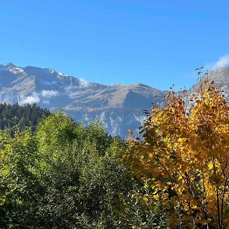 Chalet 2 +1 Espace Couchage, Terrasse, Parking, Wifi, Non Fumeur - Fr-1-572-264 Araches-la-Frasse